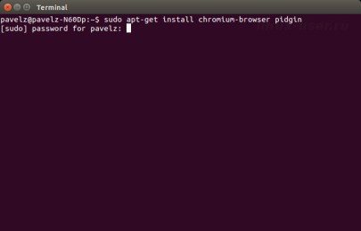 sudo apt-get install chromium-browser pidgin