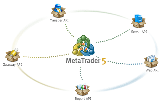 Web API призначений для інтеграції платформи MetaTrader 5 з веб-ресурсами та іншими сервісами вашої компанії