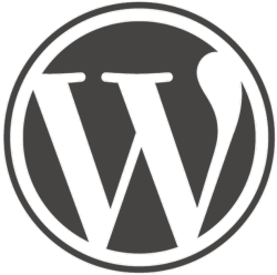 WordPress на сьогоднішній день найпопулярніший движок для управління контентом простих сайтів (блогів)